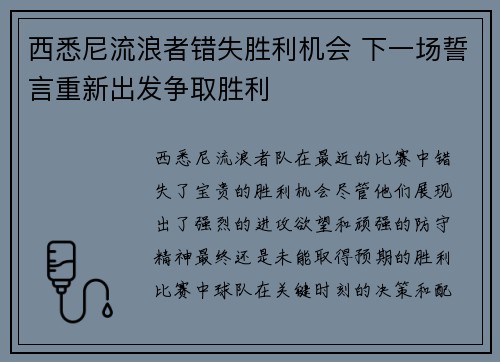 西悉尼流浪者错失胜利机会 下一场誓言重新出发争取胜利